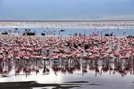 3-Day From Zanzibar to Tarangire Ngorongoro & Lake Eyasi